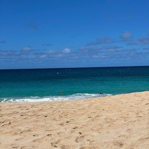 Meet your Posher, Amari